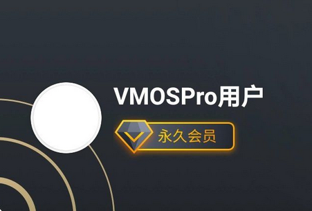 vmos pro v2.9.9最新版2024最新VIP破解版